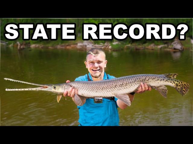 Can I Catch a State Record Gar Fish?