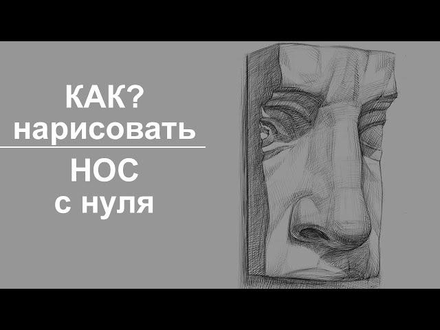 Как нарисовать НОС с нуля?