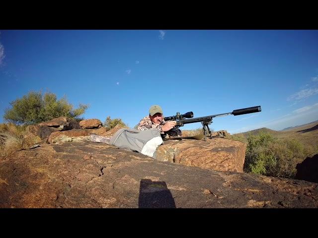 Precision in the Peaks: Long Range Warthog Hunting with a 300PRC