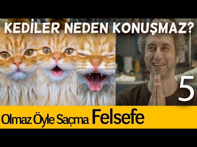 Kediler Neden Konuşmaz? - Olmaz Öyle Saçma Felsefe B05