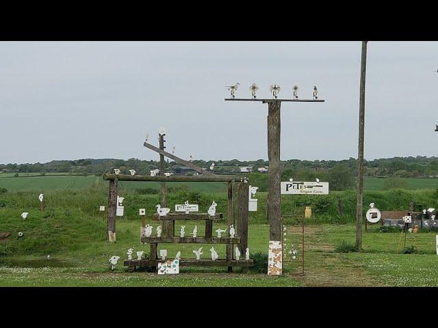 HFT target shooting at Pete's Airgun Farm | Weihrauch HW97