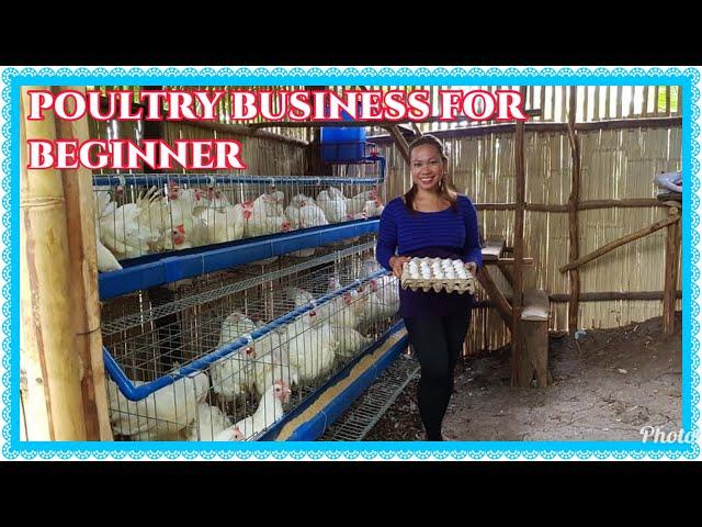 RTL READY TO LAY EGGS NA MANOK|EGG BUSINESS FOR BEGINNERS MAGKANO ANG GASTOS?BUSY MOM 24/7