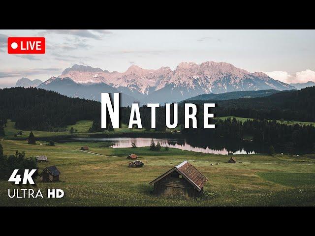   Nature 4K Live • Scenic Relaxation with Peaceful Music for Calm and Focus