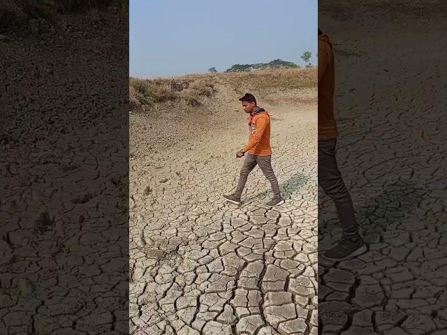 Technician #aquaculture #pabitradas #shrimpfarming #shortvideo #vannamei #shrimp #pond preparation