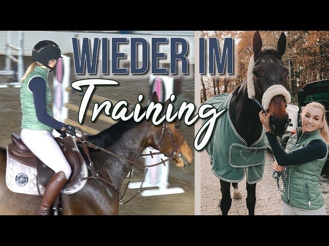 EEENDLICH WIEDER TRAINING | November '18 | BinieBo