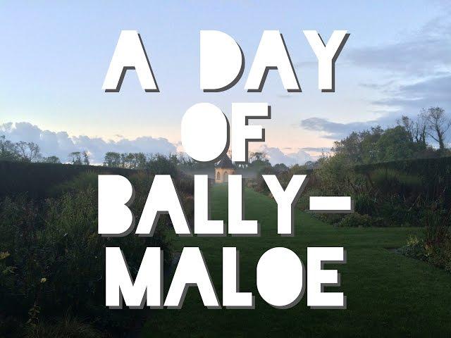 A Day of Ballymaloe Cookery School // Daniel C Films