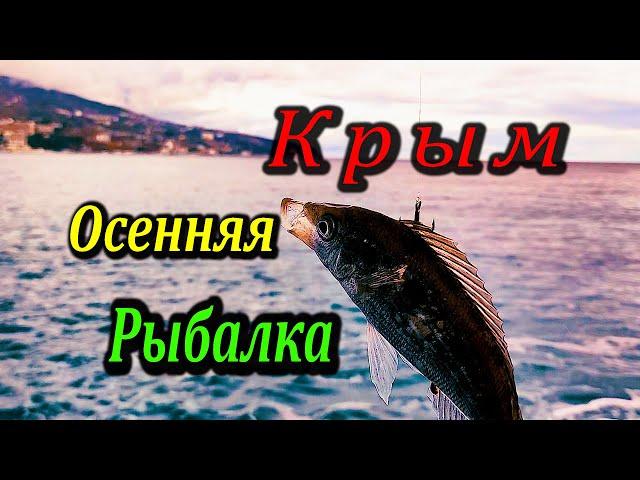 Совет Для Начинающих Ловить на Пилькер. Морская Рыбалка в Крыму. Новый Спиннинг, Ловля Саргана.