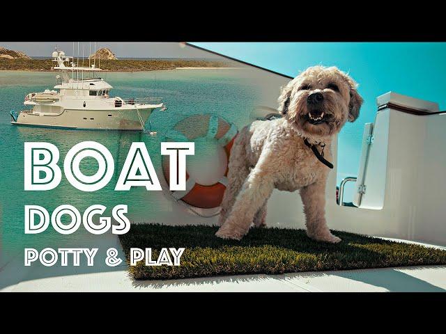 DOGS ON A BOAT! #42 How dogs go to the bathroom and play on our Nordhavn 55 yacht!