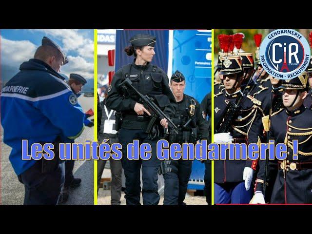 TOUT SAVOIR SUR LA GENDARMERIE !