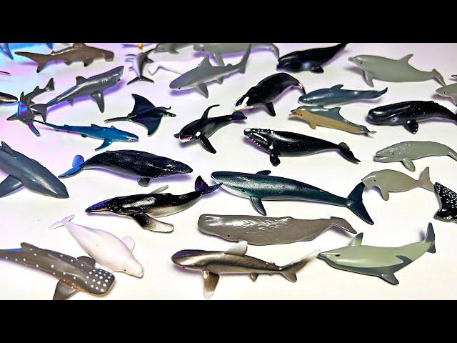 New Sea Animals - Orca, Hammerhead Shark, Whale Shark, Eagle Ray, Sail Fish, Narwhal, Humpback Whale