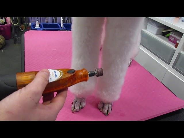 Dog Grooming Nail Clipping and Grinding