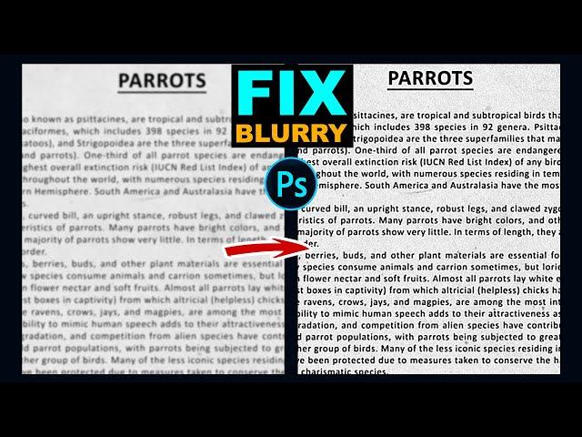 How to Fix Blurry Text Document Image for Readable in Adobe Photoshop