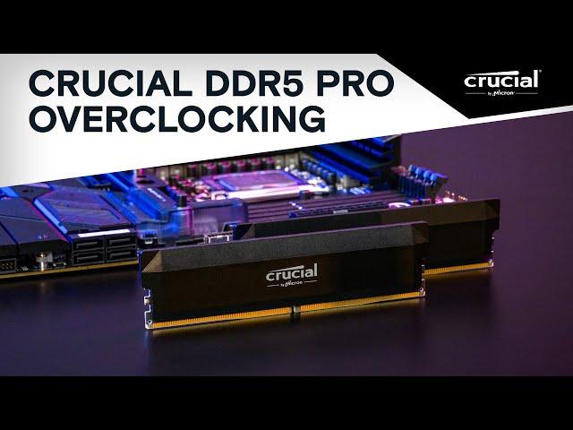 Crucial DDR5 Pro Overclocking DRAM: Übertakten kein Problem mehr!