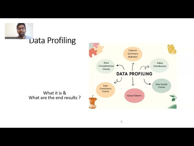 Data Profiling