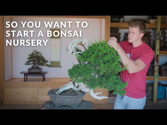 So You Want to Start a Bonsai Nursery | 6 Steps to Establishing Your Own Garden