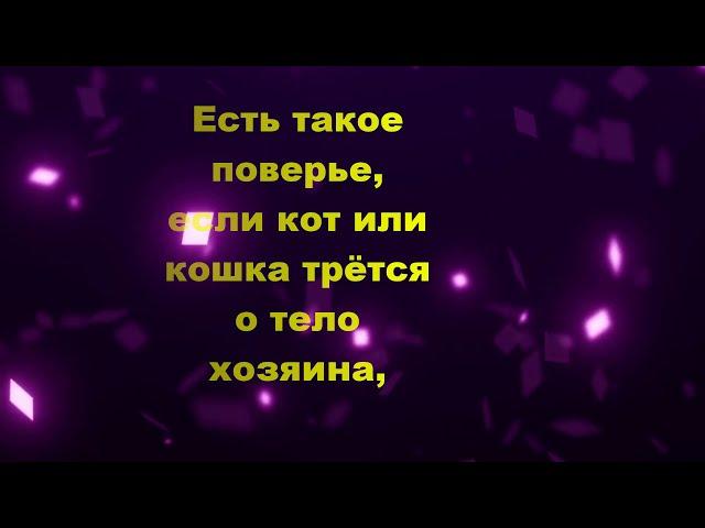 Кошка трется о ноги хозяина (Примета)