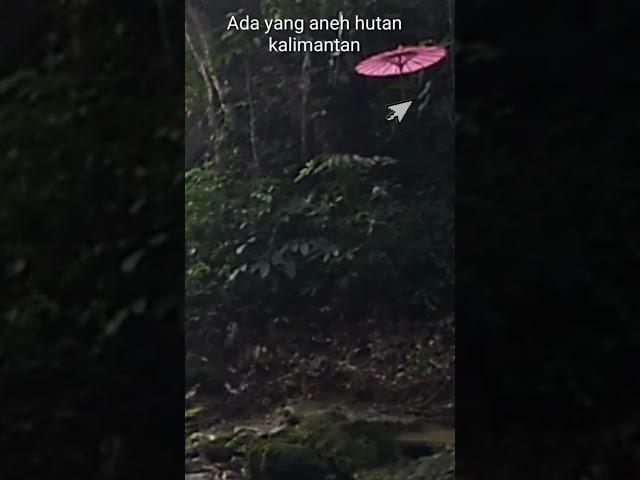 detik,detik kejadian di hutan kalimantan #shortsvidio #airterjun #shorts