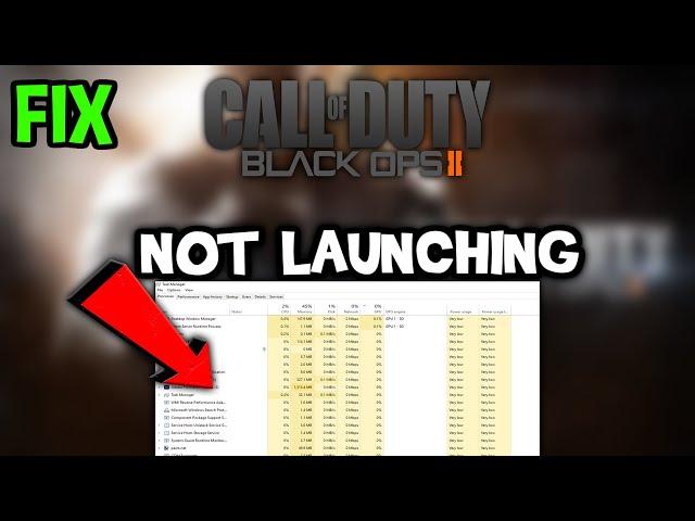 Black Ops 2 – Fix Not Launching – Complete Tutorial