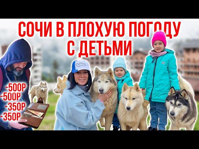 Сочи с детьми в плохую погоду \ Отдых с детьми \ Что посмотреть в Сочи \ Куда сходить в Сочи