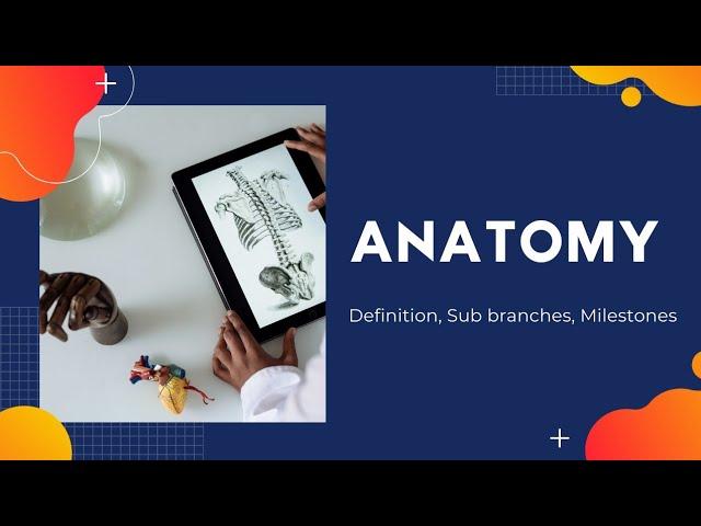 Anatomy| Sub Branches of Anatomy| History of Anatomy| Learn Life With Us| LLWU