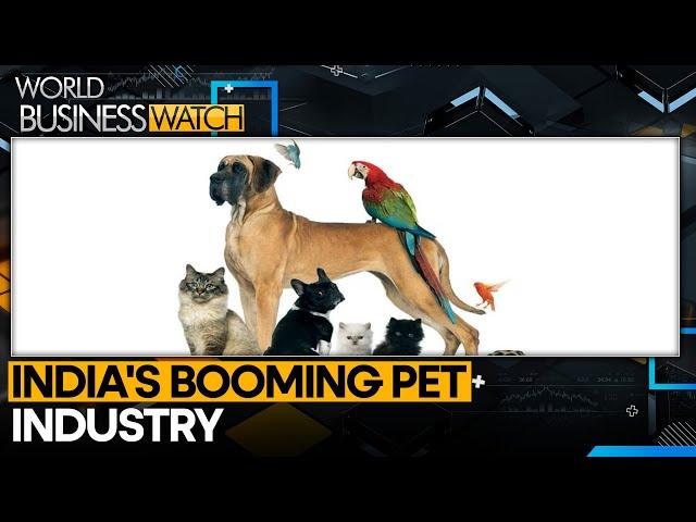 Indian pet care market to reach $2.5 billion by 2025 | World Business Watch | WION