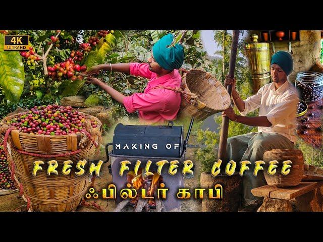 Filter Coffee making from Fresh Coffee Beans | Filter Coffee at home | Tamil Native Farmer