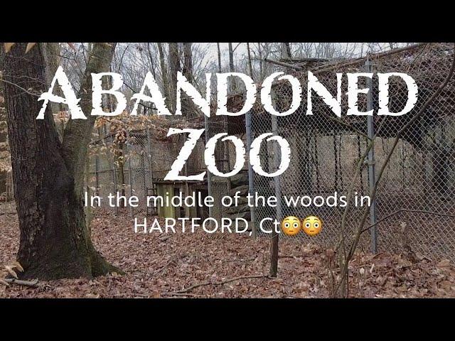 We Found an Abandoned Zoo Hidden in The Woods of Hartford CT | WHAT WENT ON HERE?