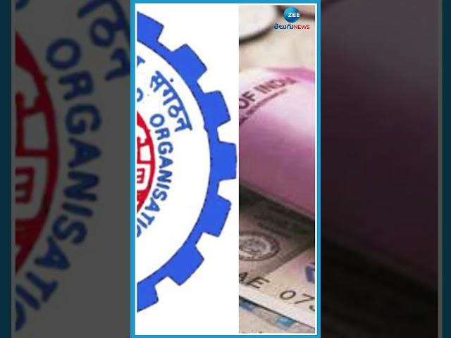 EPFO: ఈ నెల 26 వరకే గడువు | EPFO | ZEE Telugu News