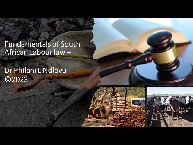 Fundamentals of South African labour law   Dr Philani L Ndlovu