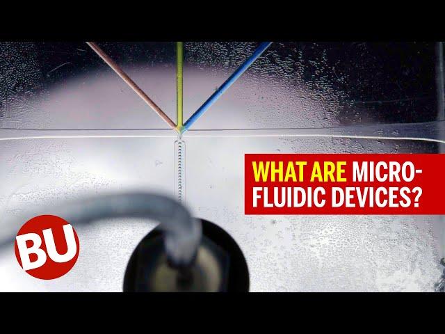 What Are Microfluidic Devices? (Synthetic Biology's Secret Weapon)