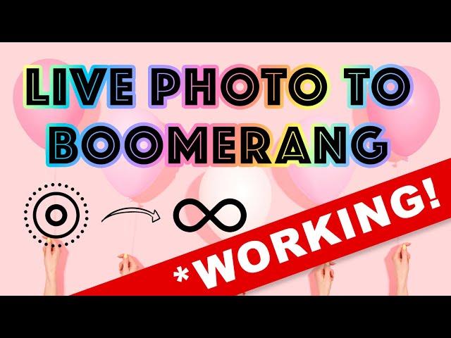 How To Turn A Live Photo Into A Boomerang | WORKING! Instagram Story 2022