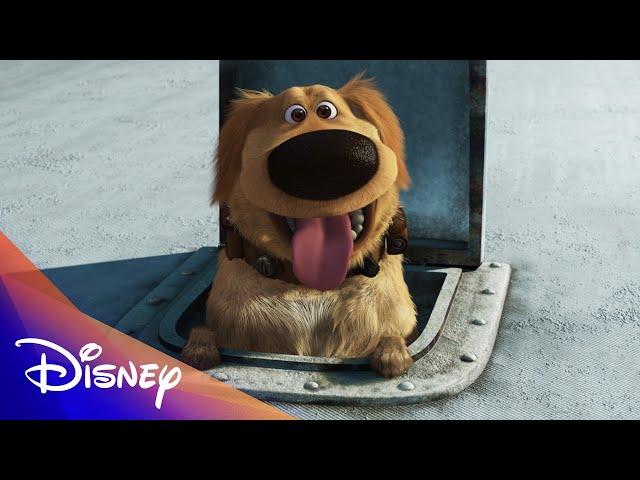 Up Anniversary: Dug's Iconic Moments | Disney