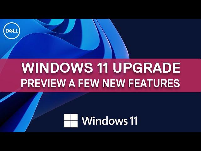 Windows 11 New Features | Dell Support