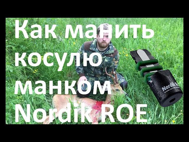 Манок Nordik ROE охота на косулю (как манить косулю) ДОБЫЛИ КОЗЛА!