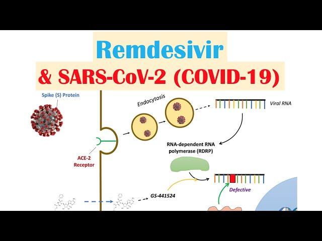 Remdesivir & SARS-CoV-2 (COVID-19) | Mechanism of Action, Adverse Effects, Anti-Viral Properties