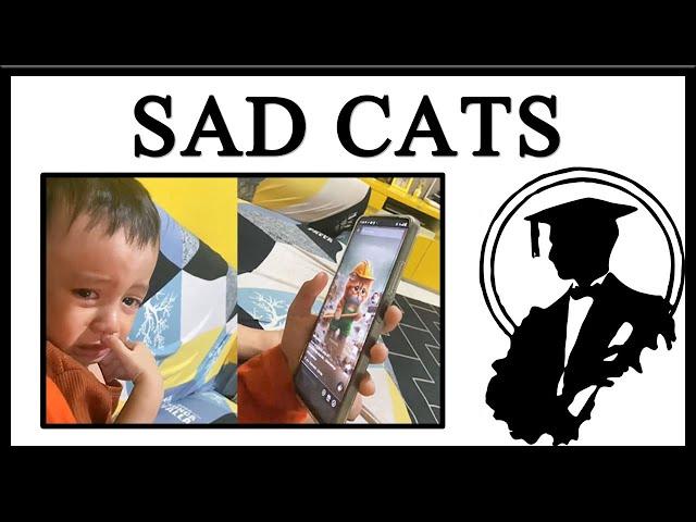 Kids Are Crying Over AI Sad Cat Videos