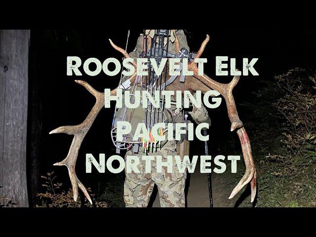 Roosevelt Elk Hunting • Pacific Northwest