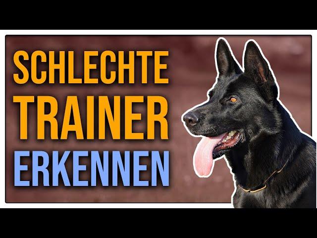 Beim falschen Trainer gelandet - daran erkennst du gute Hundeschulen oder Vereine - TGH 443