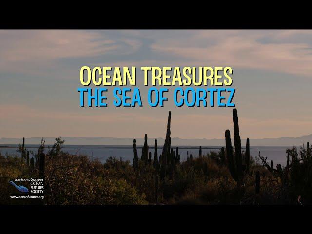 OCEAN TREASURES - The Sea of Cortez