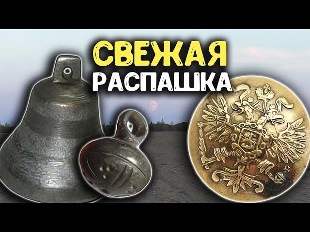 Мои находки с поля металлоискателем Minelab Manticore! Коп по старине, нашел старинные вещи!