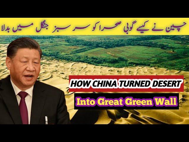 Chaina's Great Green Wall Project | One of the World Largest Desert Gobi Desert| Luxury World38