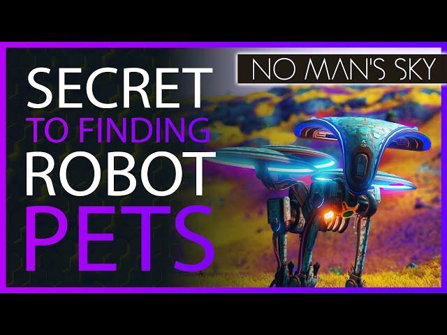 Robot Pets! How to Find Them! | No Man's Sky Companions Update 2021 Robot Tips and Tricks Guide NMS