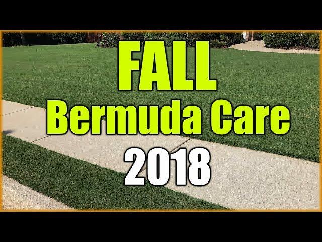 Fall Bermuda Grass Care and Fertilizer