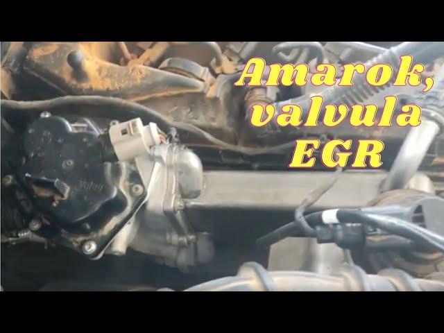 Amarok, válvula EGR carbonizada, código P0405,