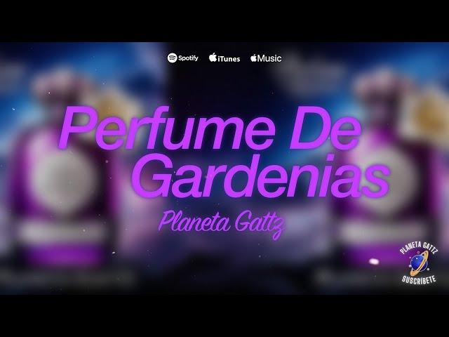 Perfume de Gardenias (La Sonora Santanera Cover) - Planeta Gattz x Ángel Gattz