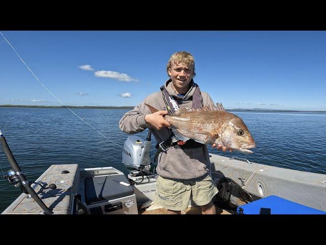 Harbour Fishing ( MANGROVE SNAPPER ) Catch N Cook - New Zealand