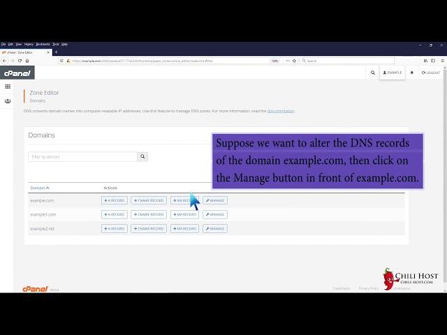 How to edit or delete a Record in cPanel using the DNS Zone Editor