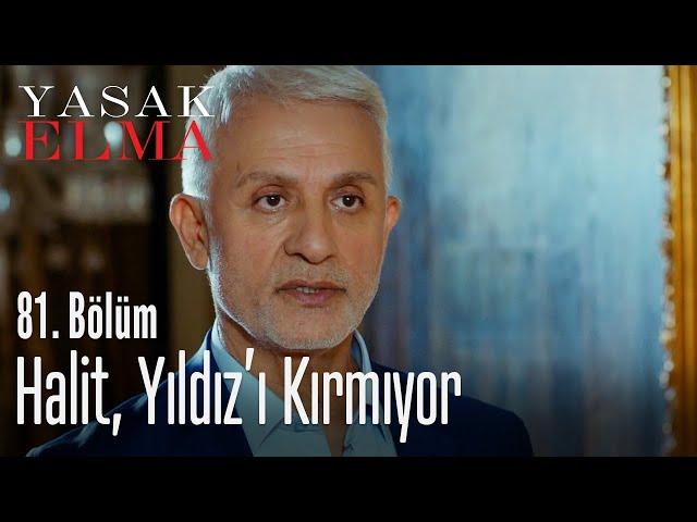 Halit, Yıldız'ı kırmıyor - Yasak Elma 81. Bölüm