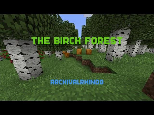 Minecraft stop motion: The Birch Forest