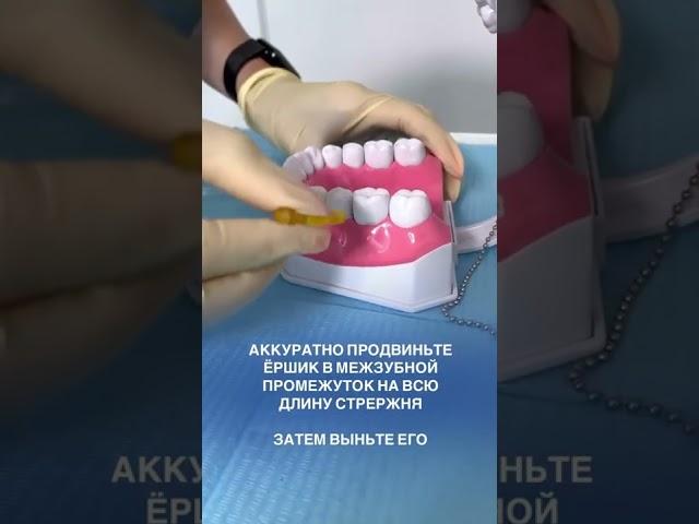 Зубные ёршики - прекрасные домашние помощники в уходе за зубами